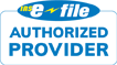 Authorized E-File Provider